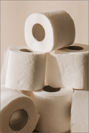 Toilet Paper